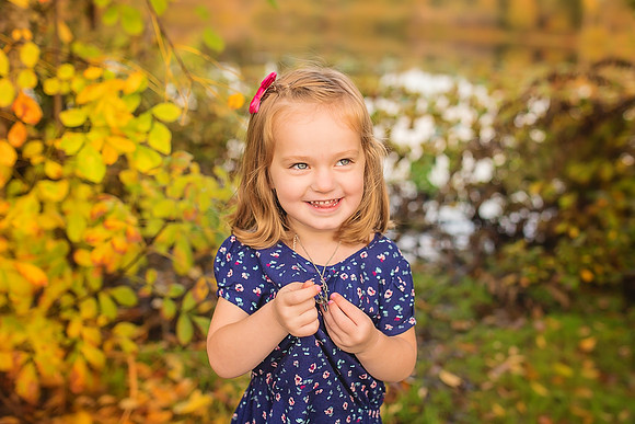 Blueberry Farm Bellevue